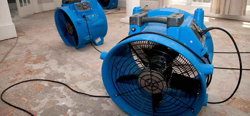 Sewage Removal Services in Legacy