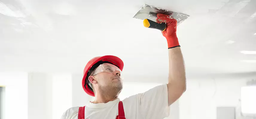 Basement Water Damage Repair in Legacy