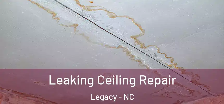  Leaking Ceiling Repair Legacy - NC