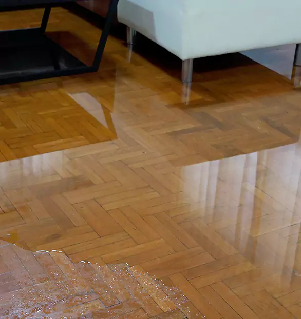 Trusted Emergency Water Restoration Company in Legacy, NC