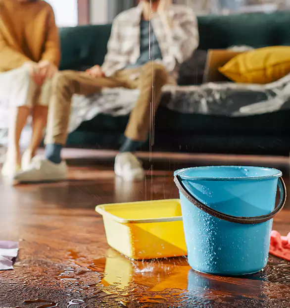 Reliable Water Mitigation Company in Legacy, NC