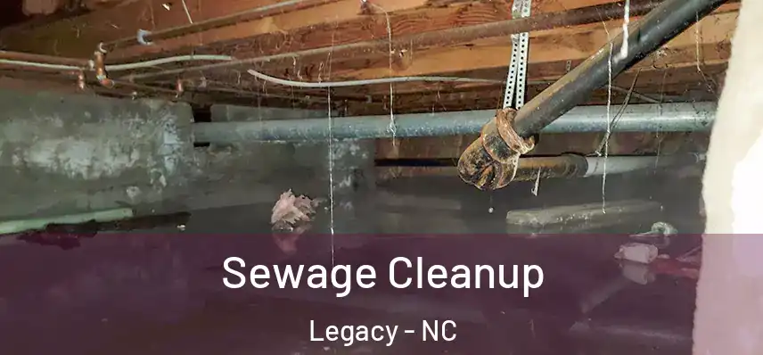 Sewage Cleanup Legacy - NC