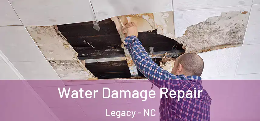  Water Damage Repair Legacy - NC